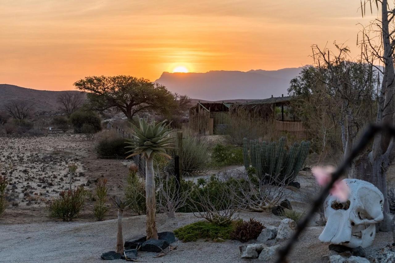 Daureb Isib Campsite And B&B Uis エクステリア 写真
