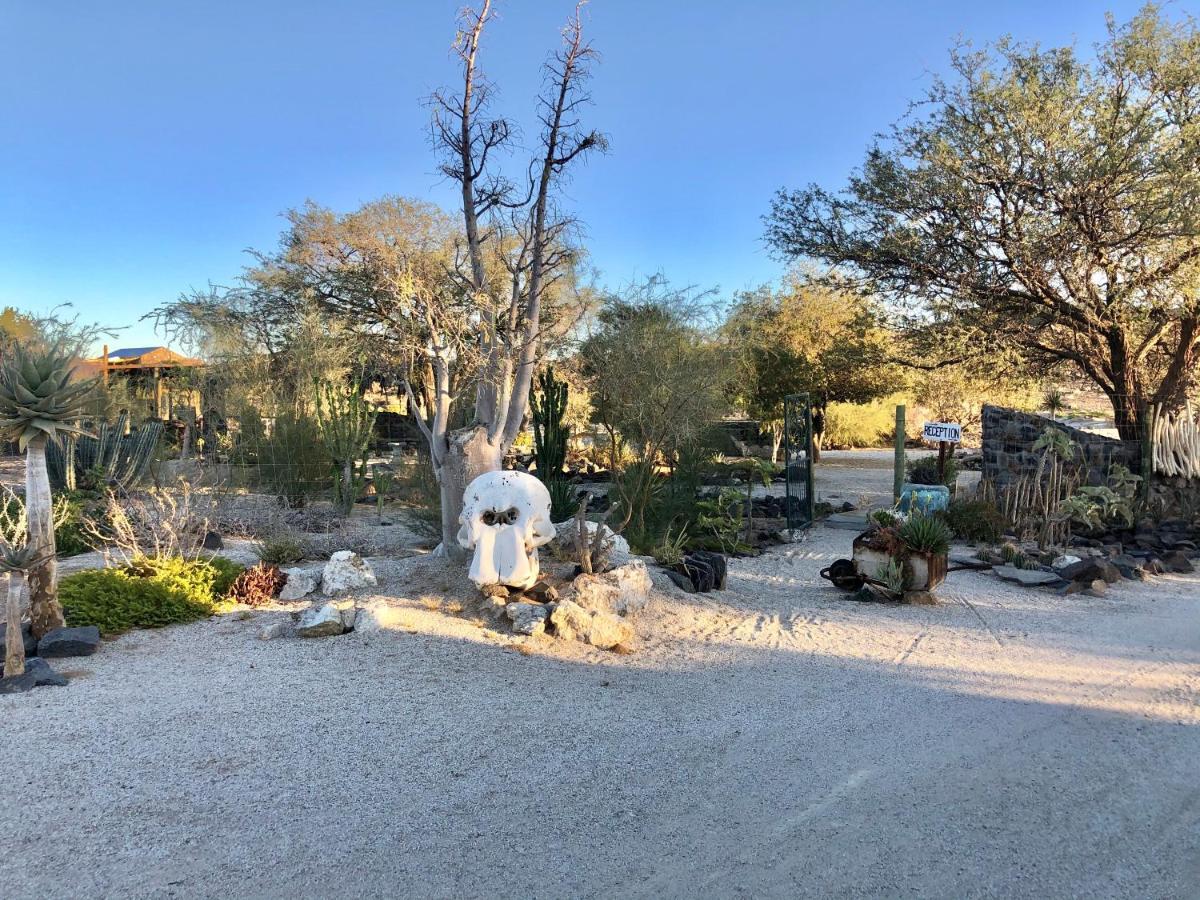 Daureb Isib Campsite And B&B Uis エクステリア 写真