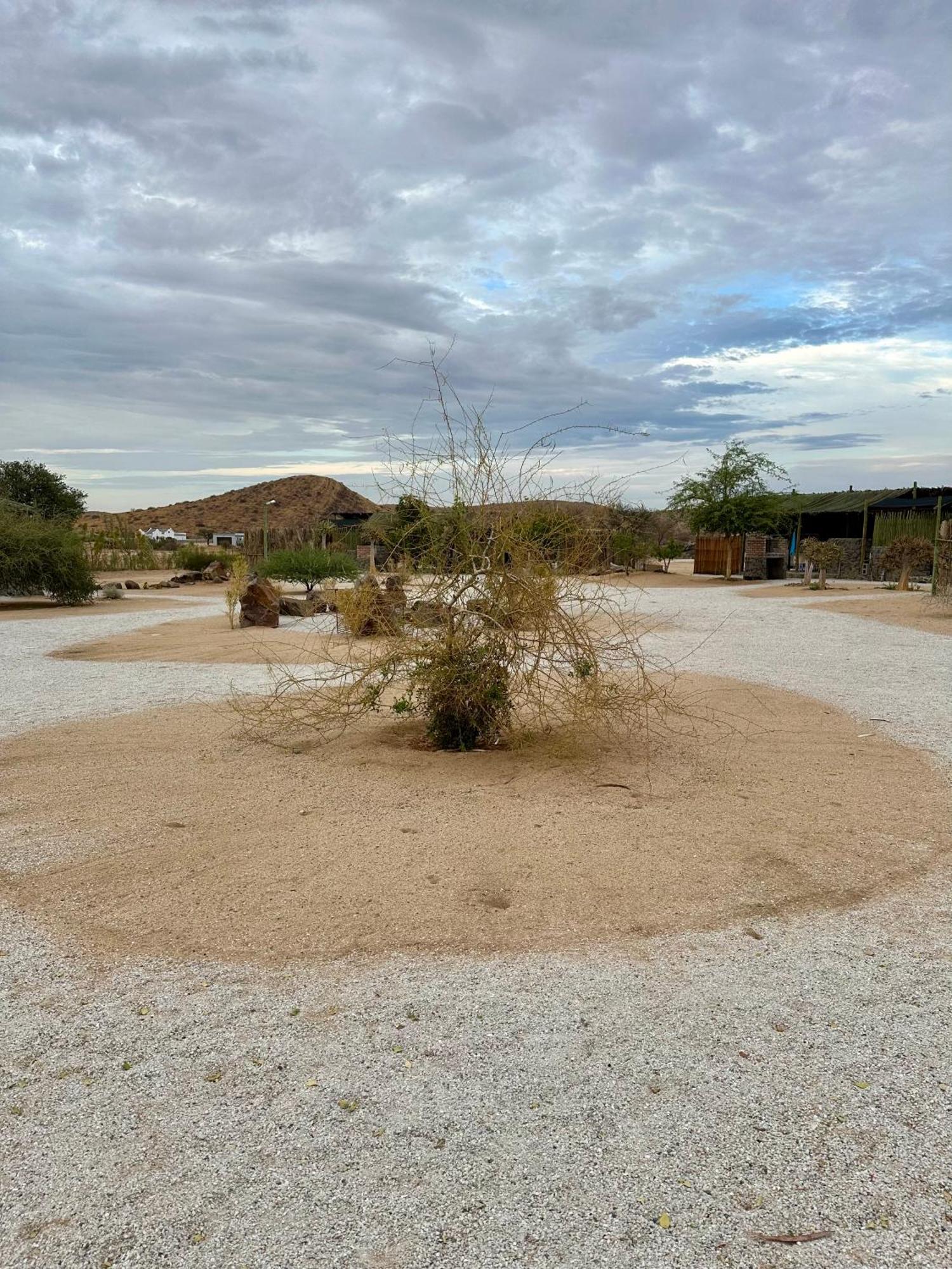 Daureb Isib Campsite And B&B Uis エクステリア 写真
