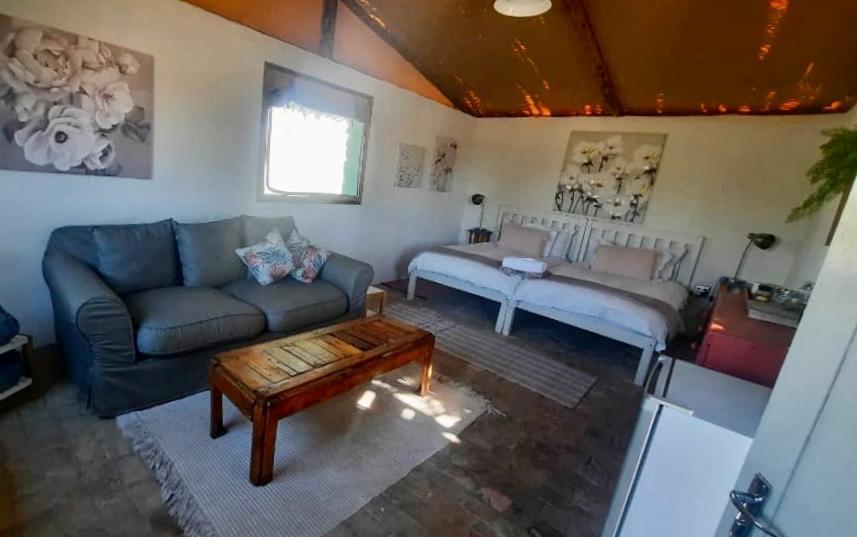 Daureb Isib Campsite And B&B Uis エクステリア 写真