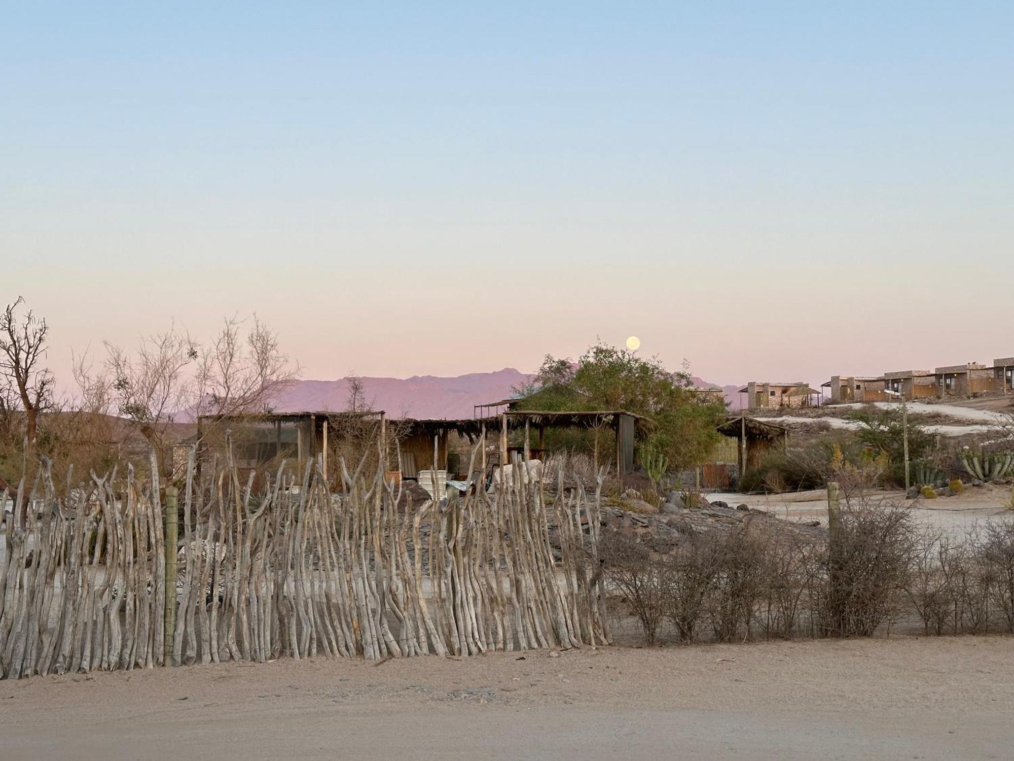Daureb Isib Campsite And B&B Uis エクステリア 写真